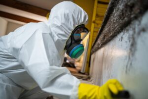 Mold Remediation